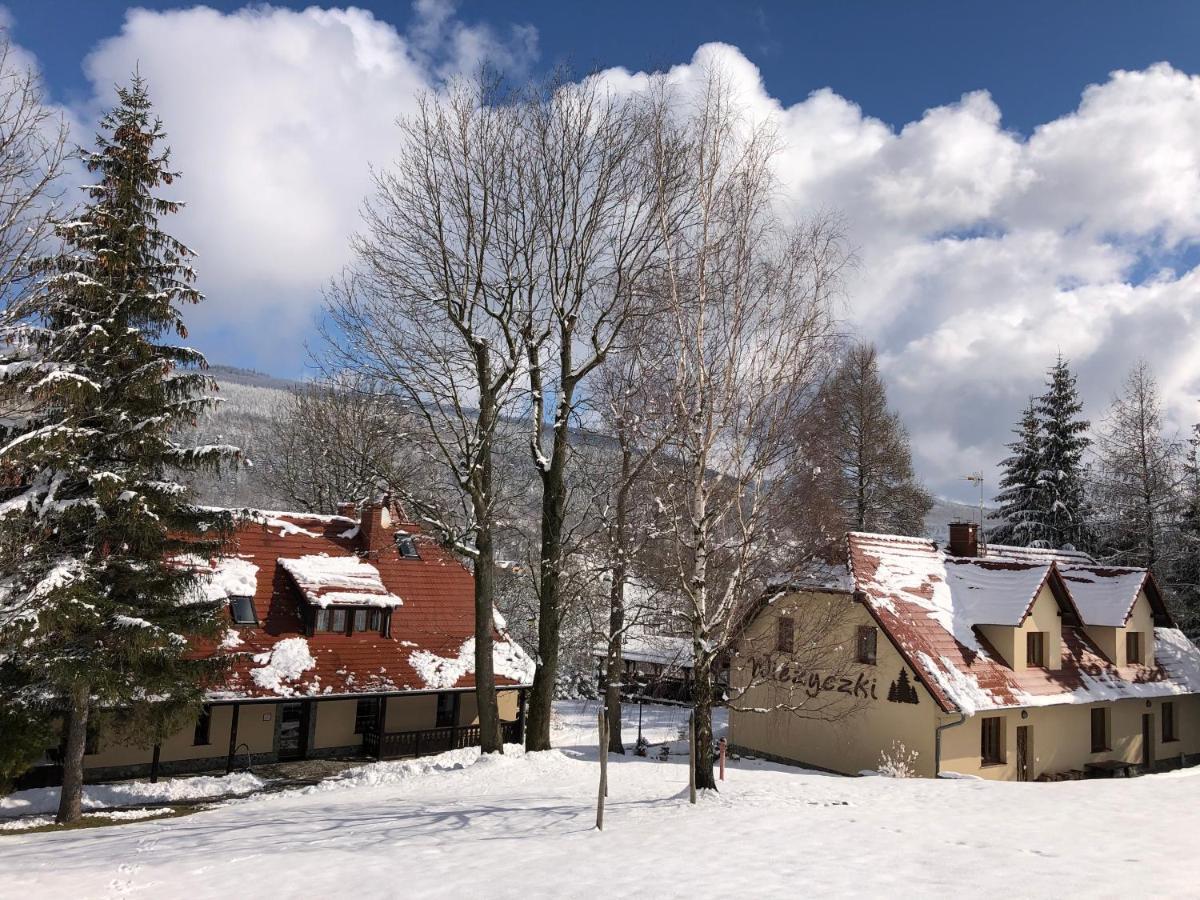 Willa Wiezyczki Świeradów-Zdrój Exteriör bild
